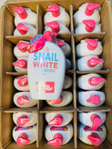 لوسیون سفید کننده 🐌 SNAIL WHITE GLUTA HEALTHY BODY LOTION از برندlove jojo حجم ۱۰۰۰میل